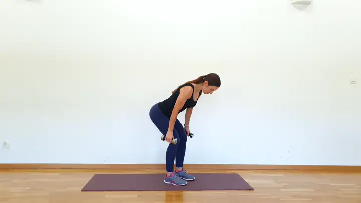Bent Over Dumbbell Rows