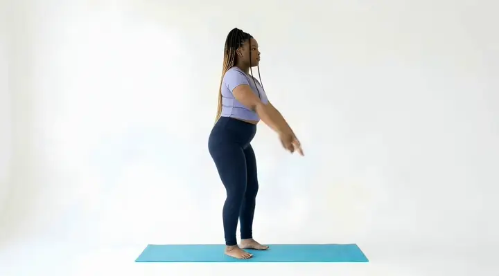 Bodyweight Squat exercise demonstration loop