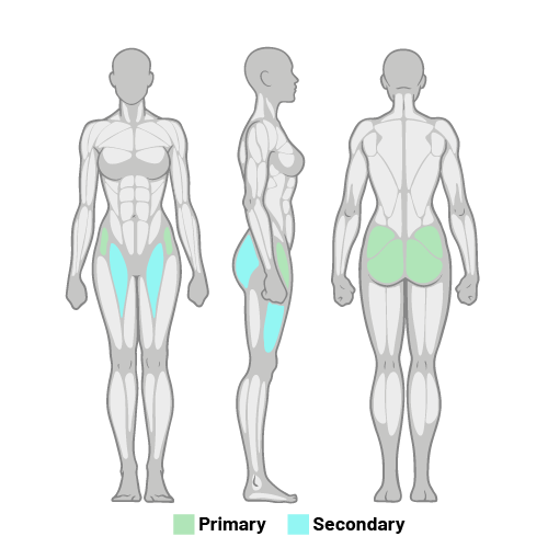 Glute Medius and Hip Rotators
