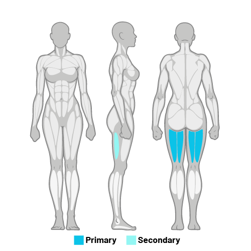 Hamstrings