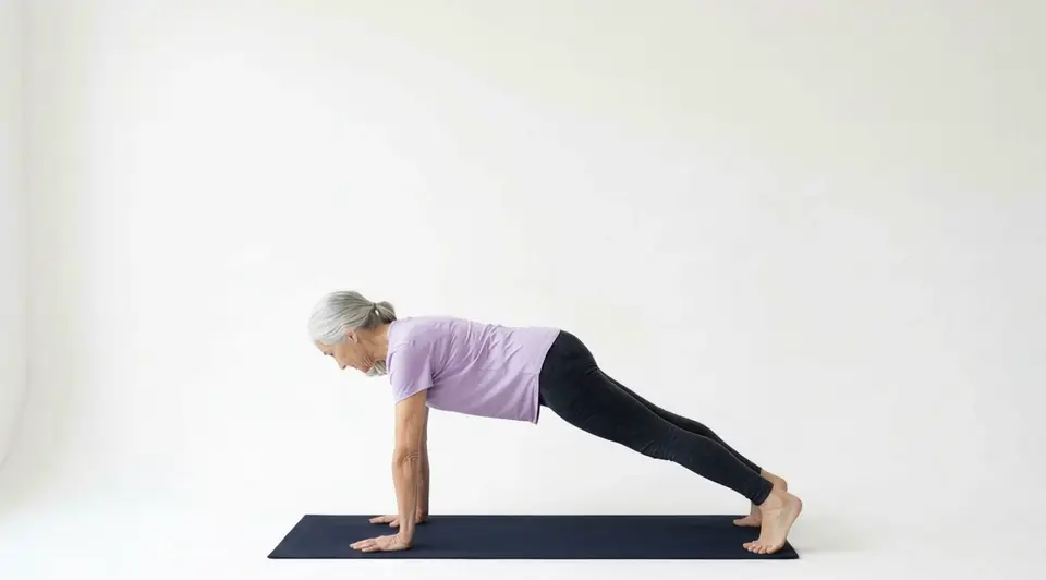 High plank on hands and toes holding a straight line from shoulders to heels