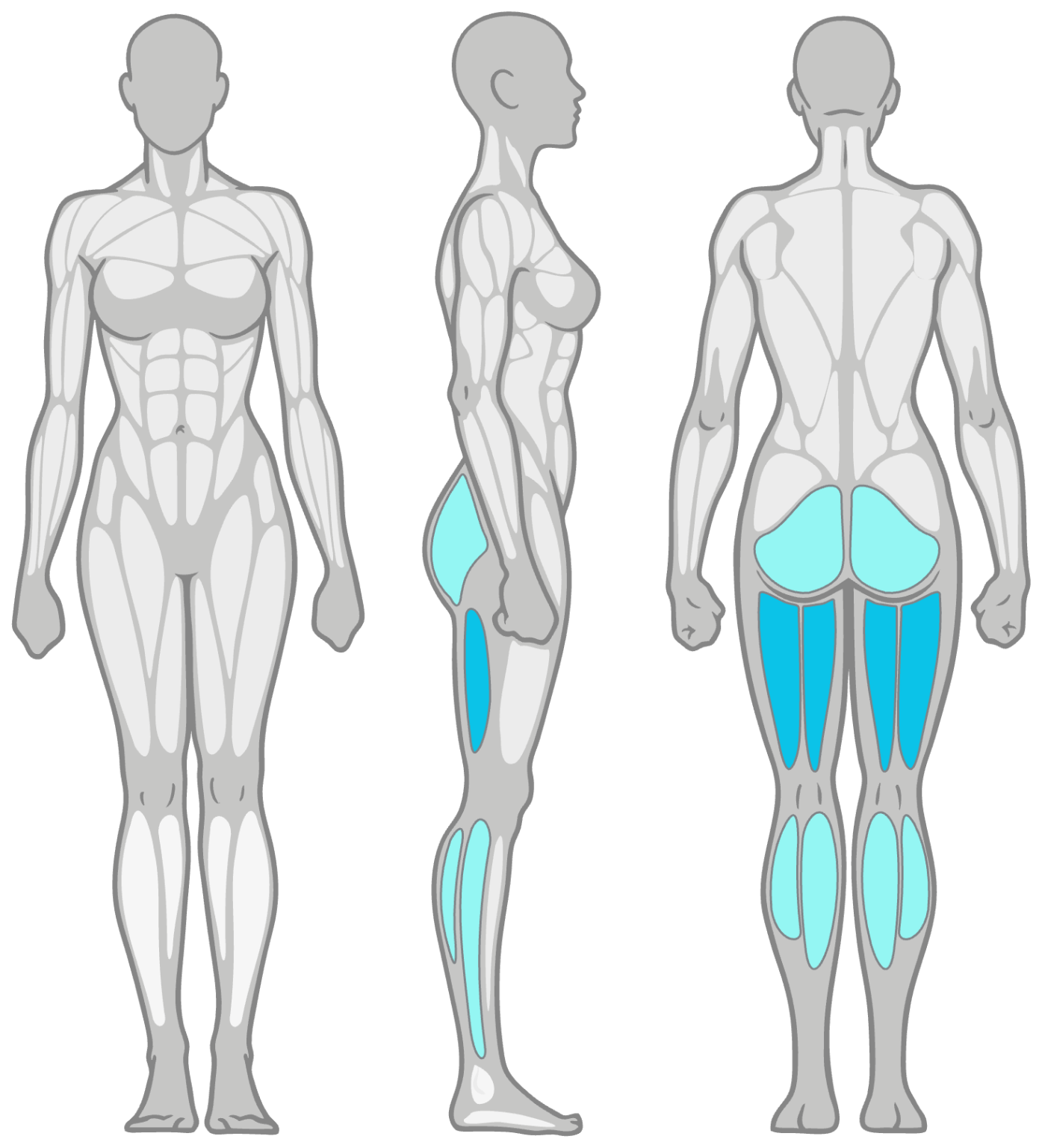 [5 Easy Steps] How to Do Banded Hamstring Stretch Right