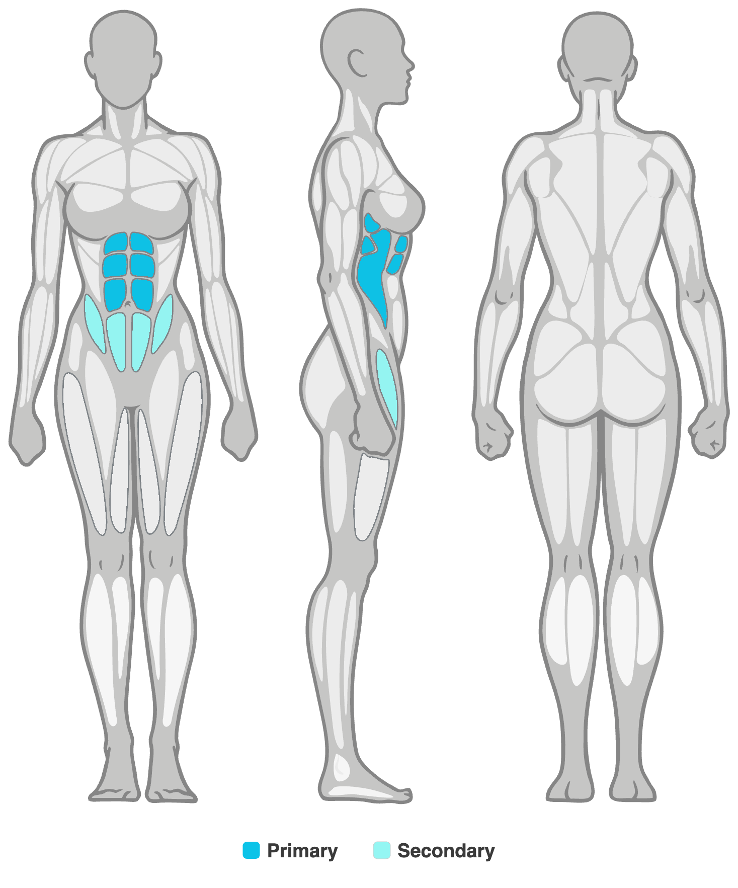 Anatomy diagram showing the muscles worked in the Dead Bug: abs as the primary muscles and hip flexors as secondary, shown front, side and back.