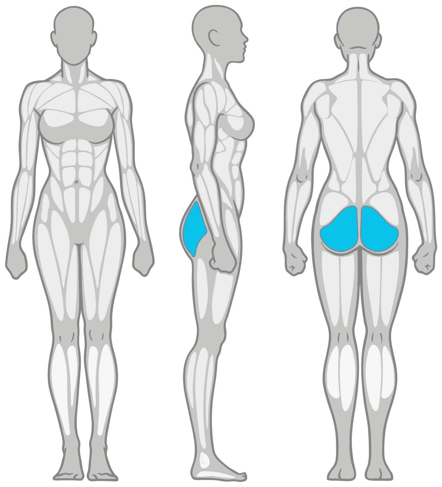 Anatomy diagram showing the muscles worked in the Figure 4 Stretch: glutes as the primary muscles and deep hip rotators (piriformis) as secondary, shown front, side and back.