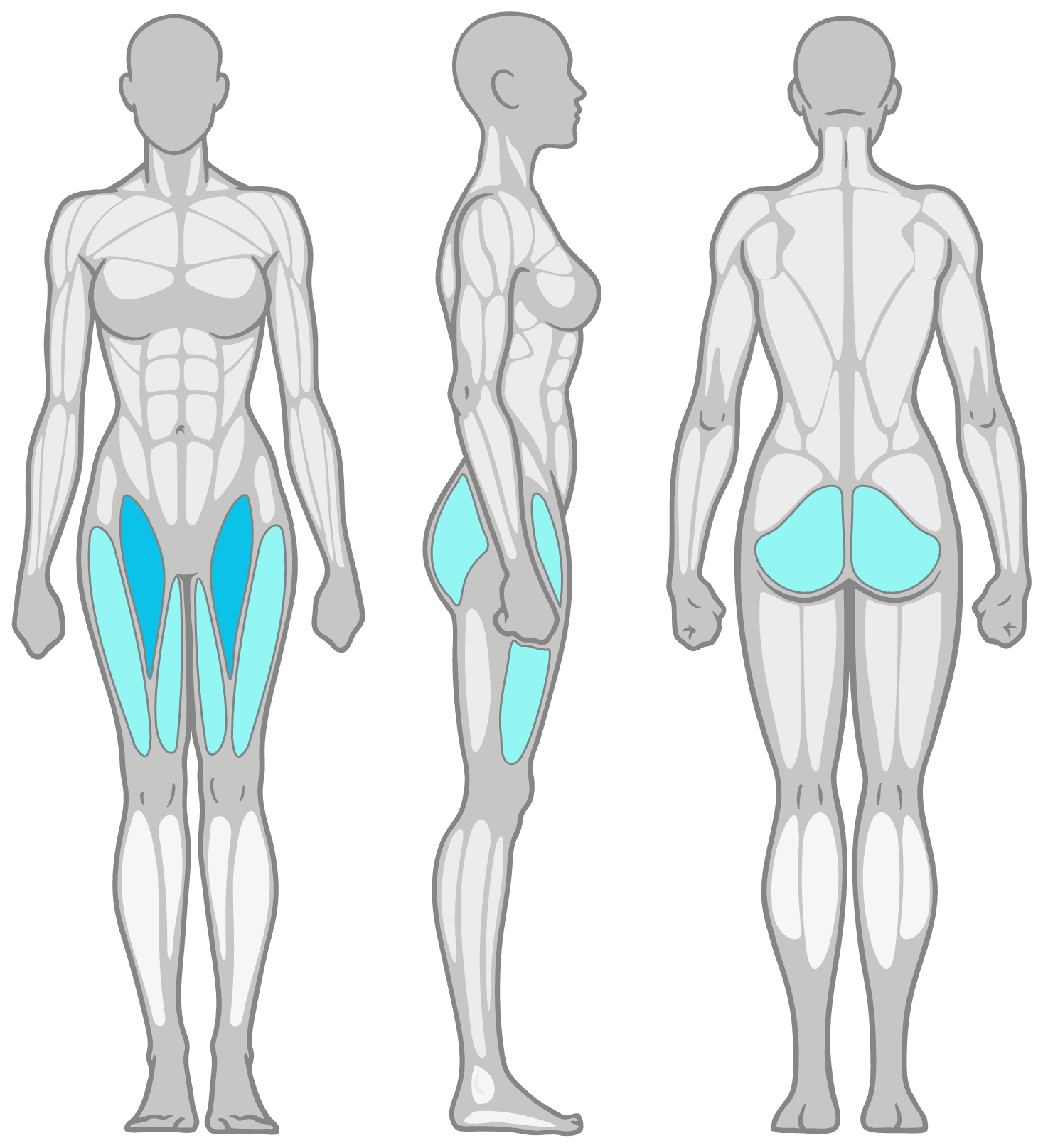 Anatomy diagram showing the muscles worked in the Side Lunges: inner thighs (adductors) as the primary muscles and glutes and quads as secondary, shown front, side and back.