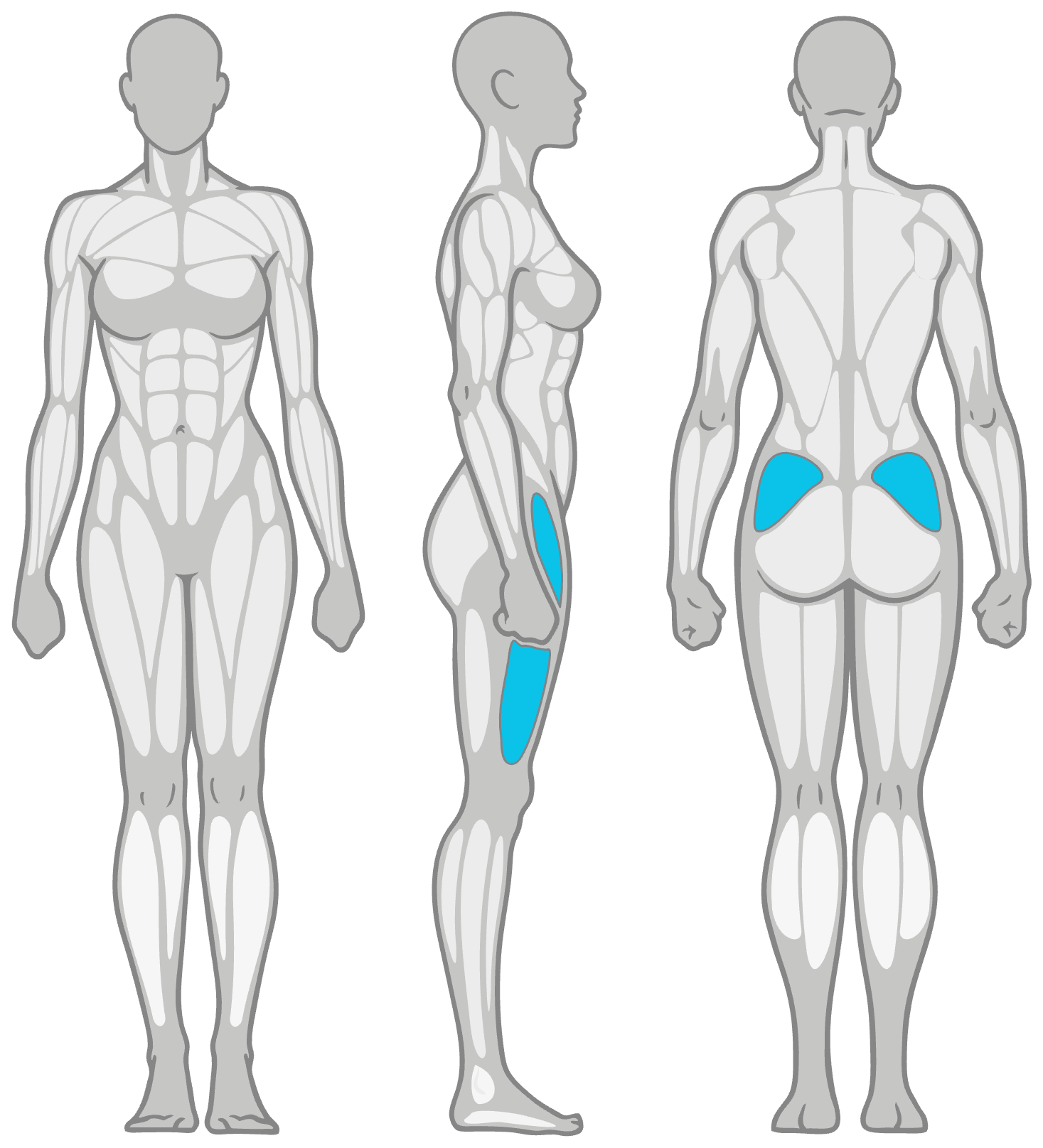 Anatomical figure highlighting specific muscles in blue: lateral thigh muscle group and gluteal region highlighted to show targeted muscle areas across front, side, and back views.