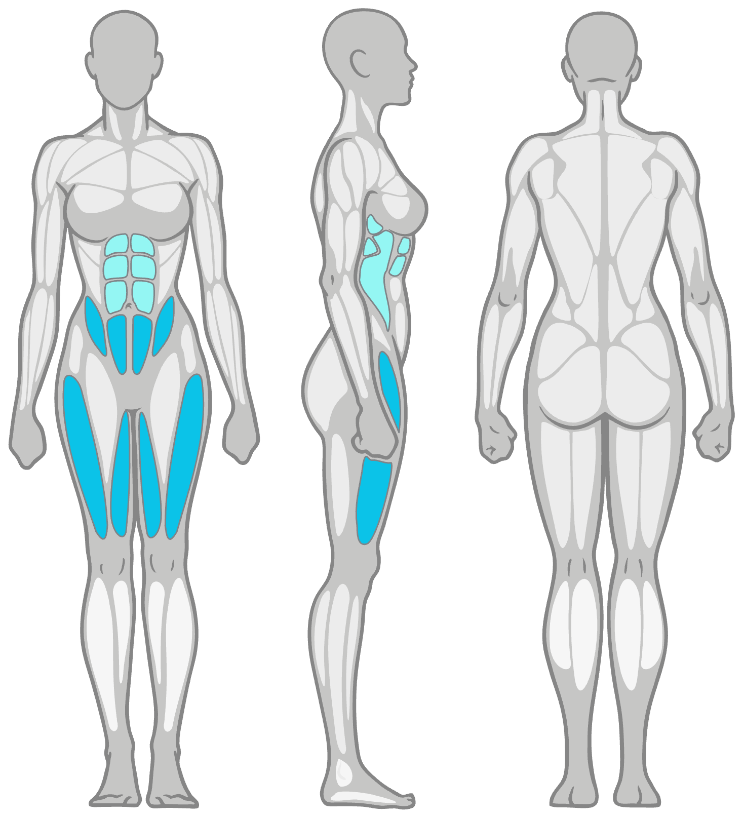Anatomy diagram showing the muscles worked in the Straight Leg Raise: hip flexors and quads as the primary muscles and abs as secondary, shown front, side and back.